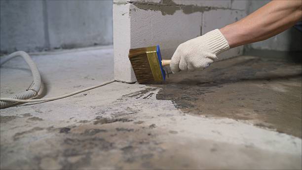 SJ Waterproofing Pros Waterproofing coverage map for Trufant, MI and surrounding area